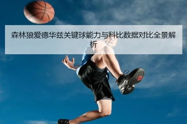 森林狼爱德华兹关键球能力与科比数据对比全景解析